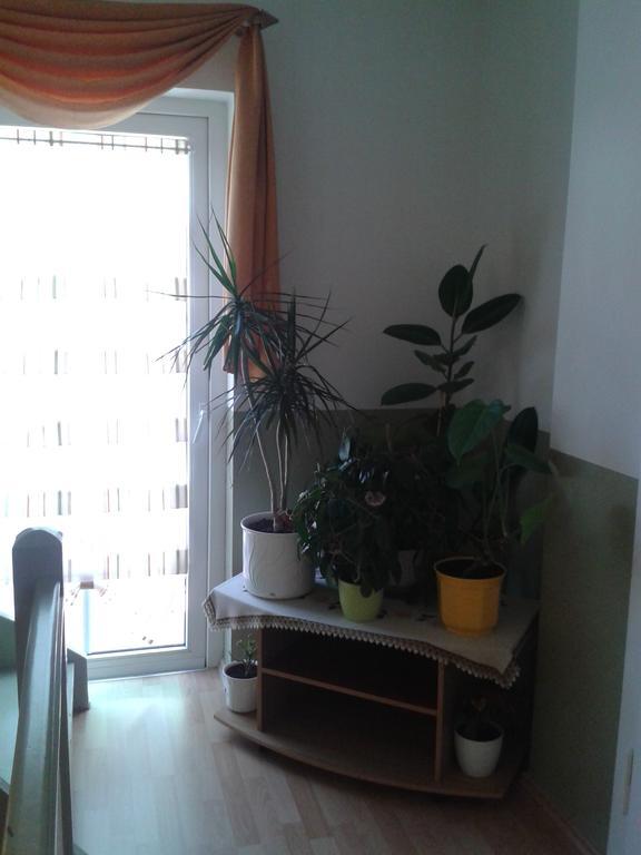 Pension Irmisch เอาเออ ภายนอก รูปภาพ